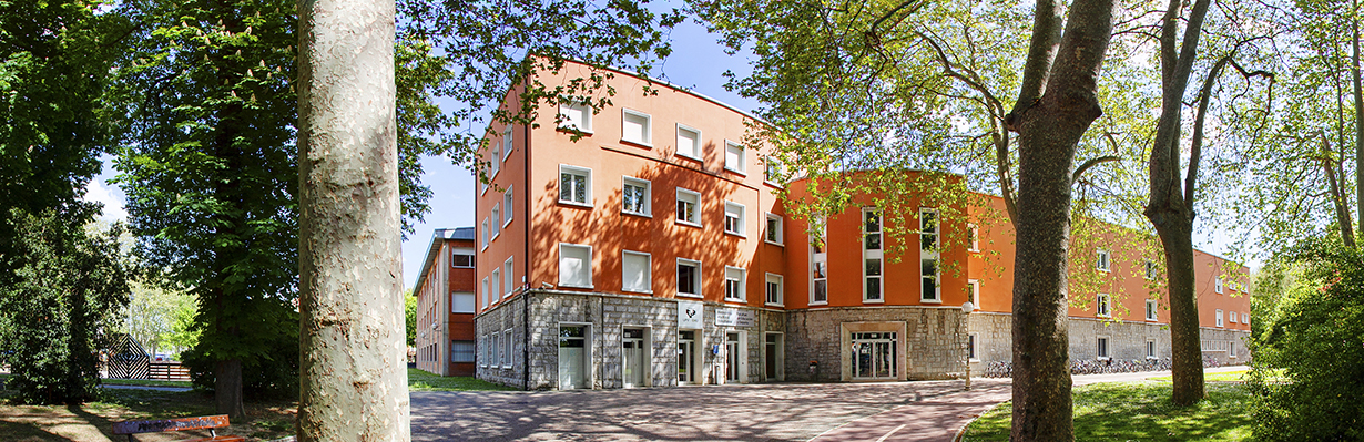 Facultad de Educación y Deporte - Educación